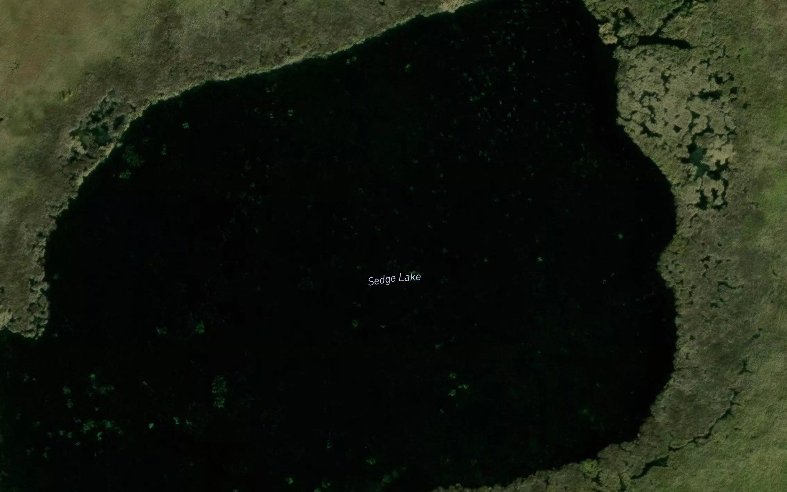 Sedge Lake