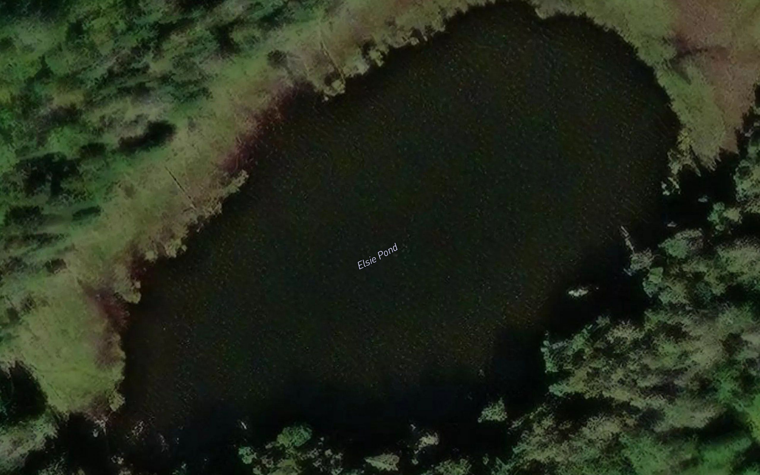 Elsie Pond