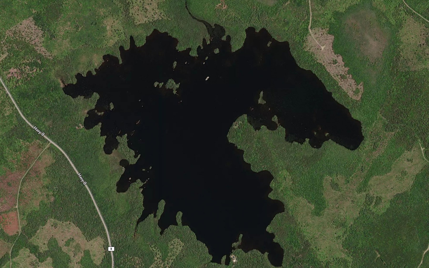 Satellite map of the Eight Mile Lake