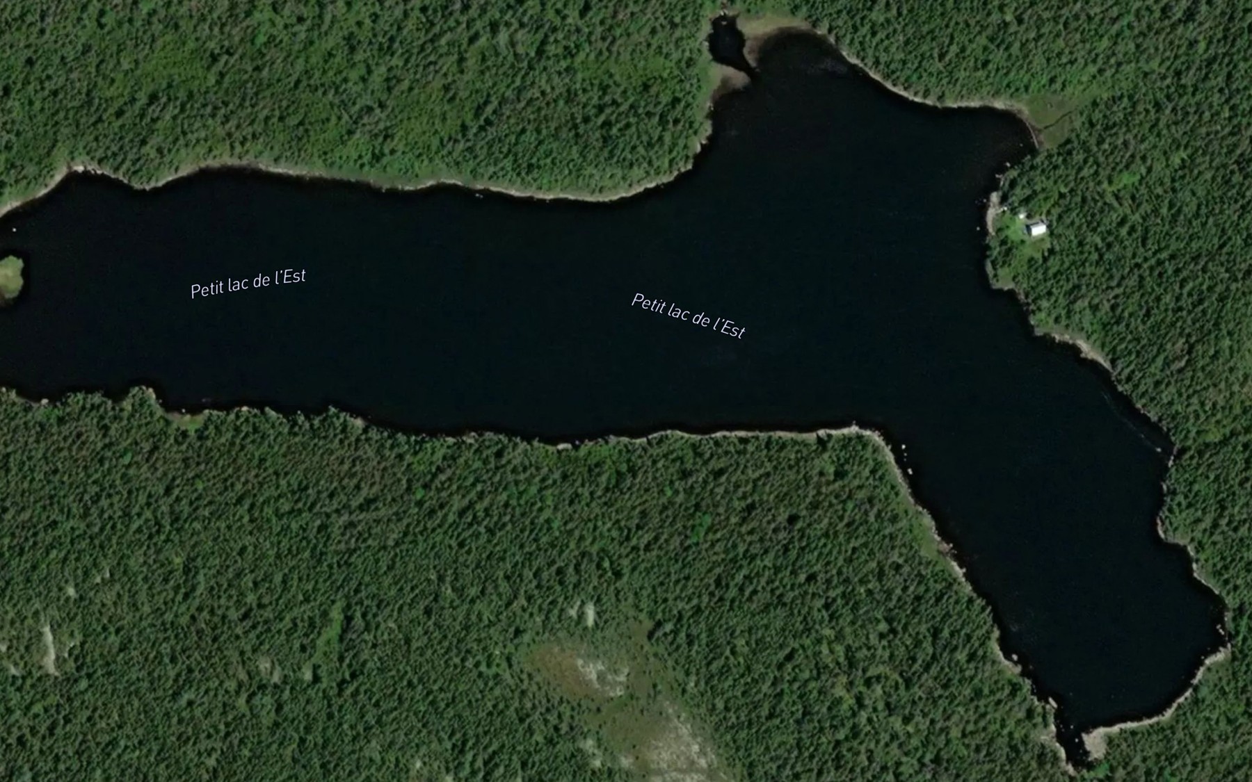 Satellite map of the Petit lac de l'Est