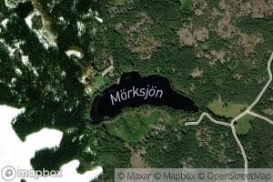 Morksjon