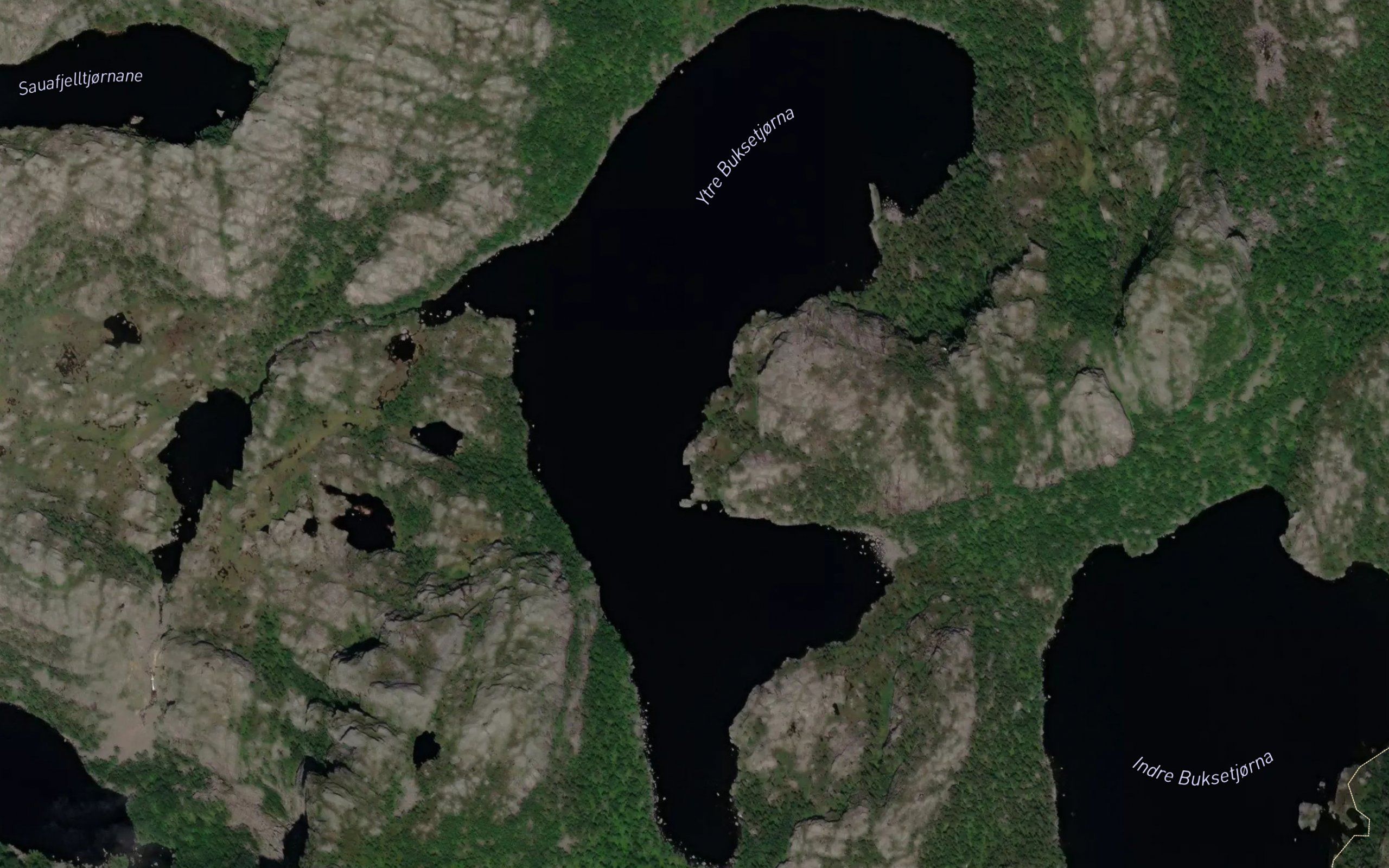 Buksetjorna,nedre