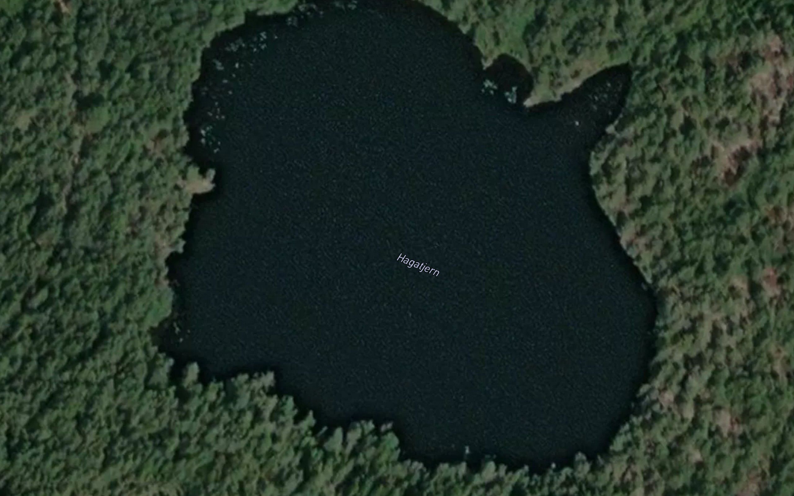 Hagatjern
