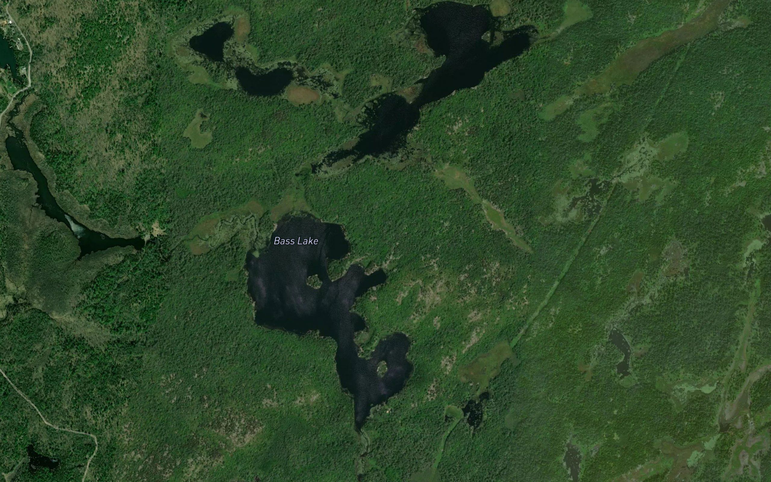 Bass Lake