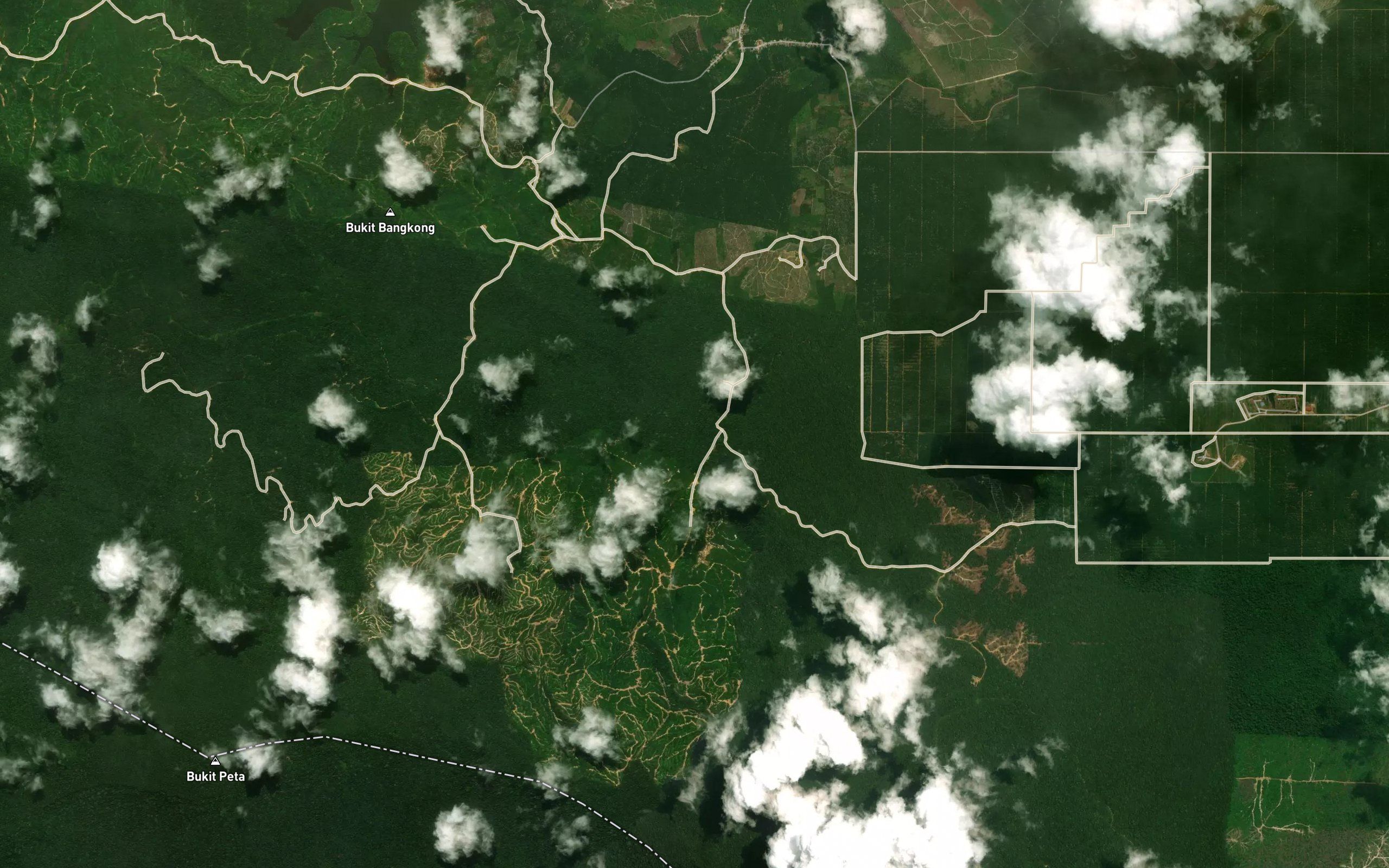 Sungai Pelungut