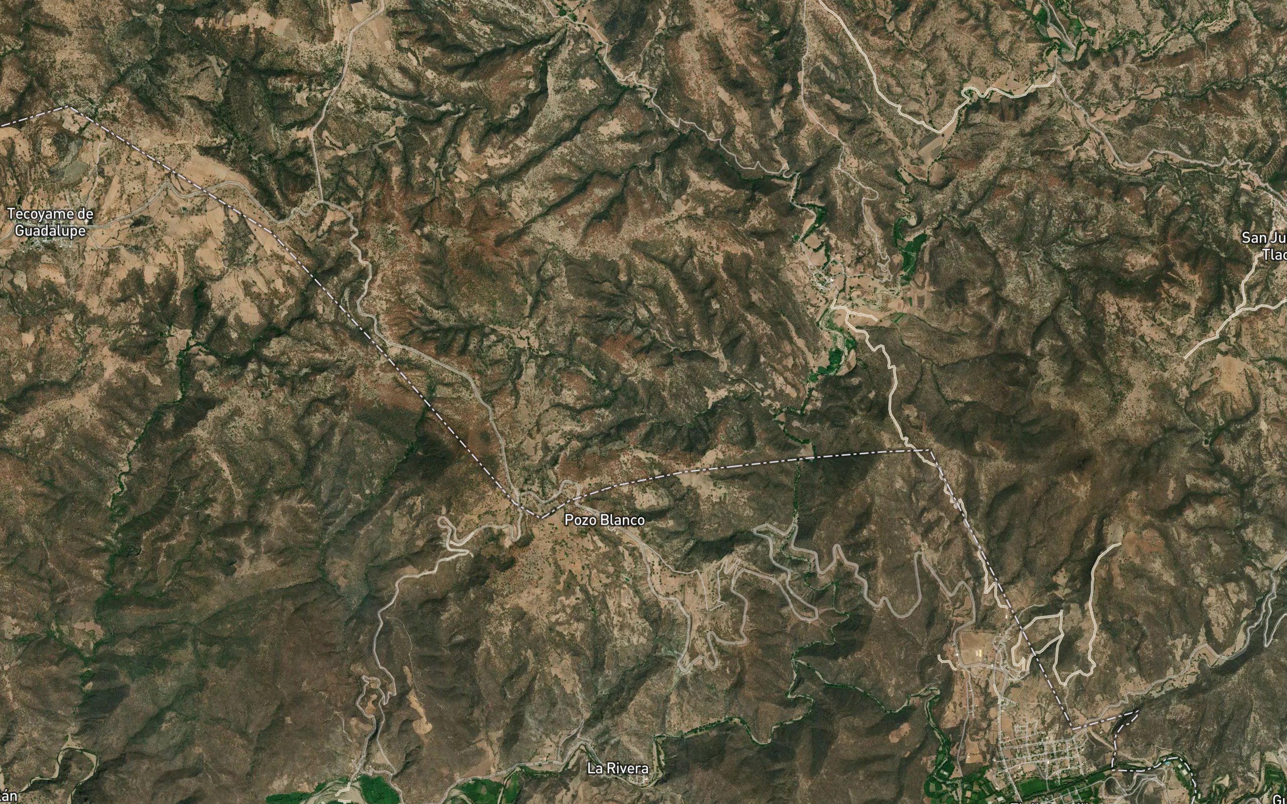 Huisache