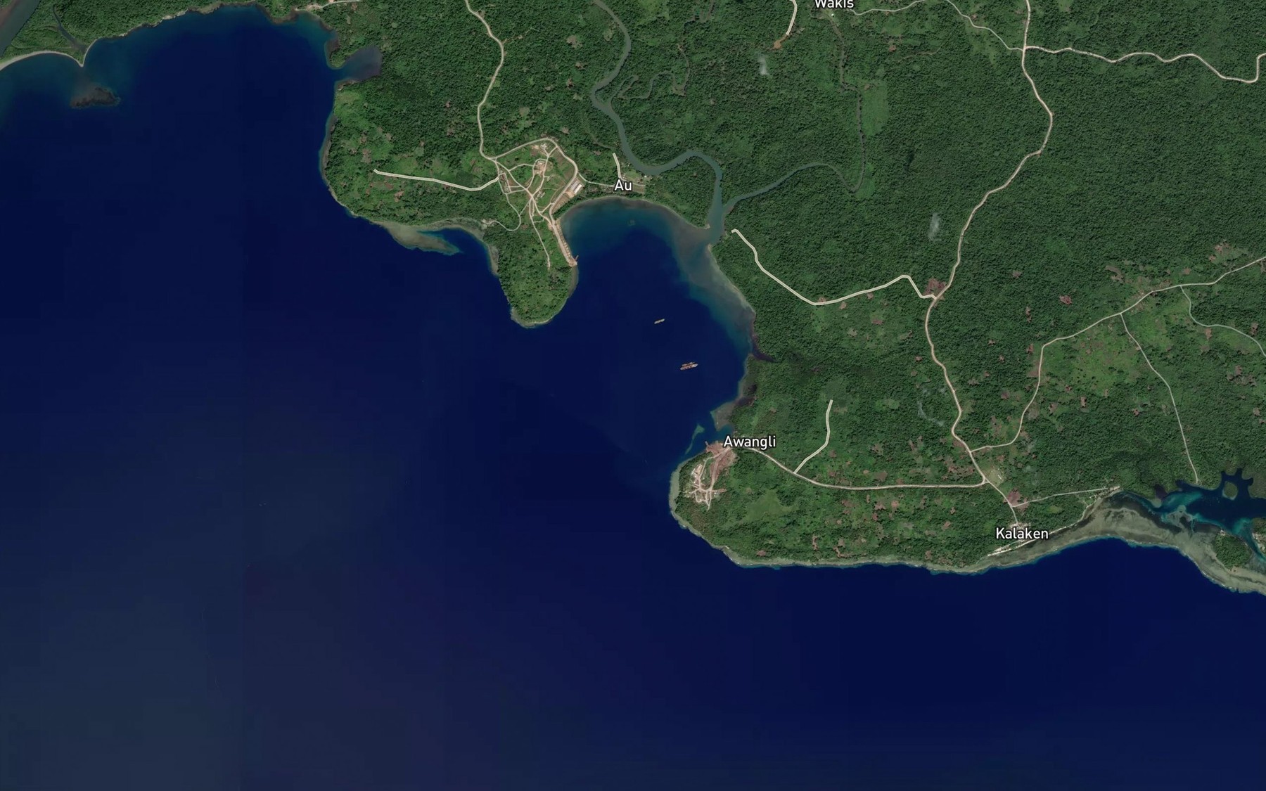 Satellite map of the Au River