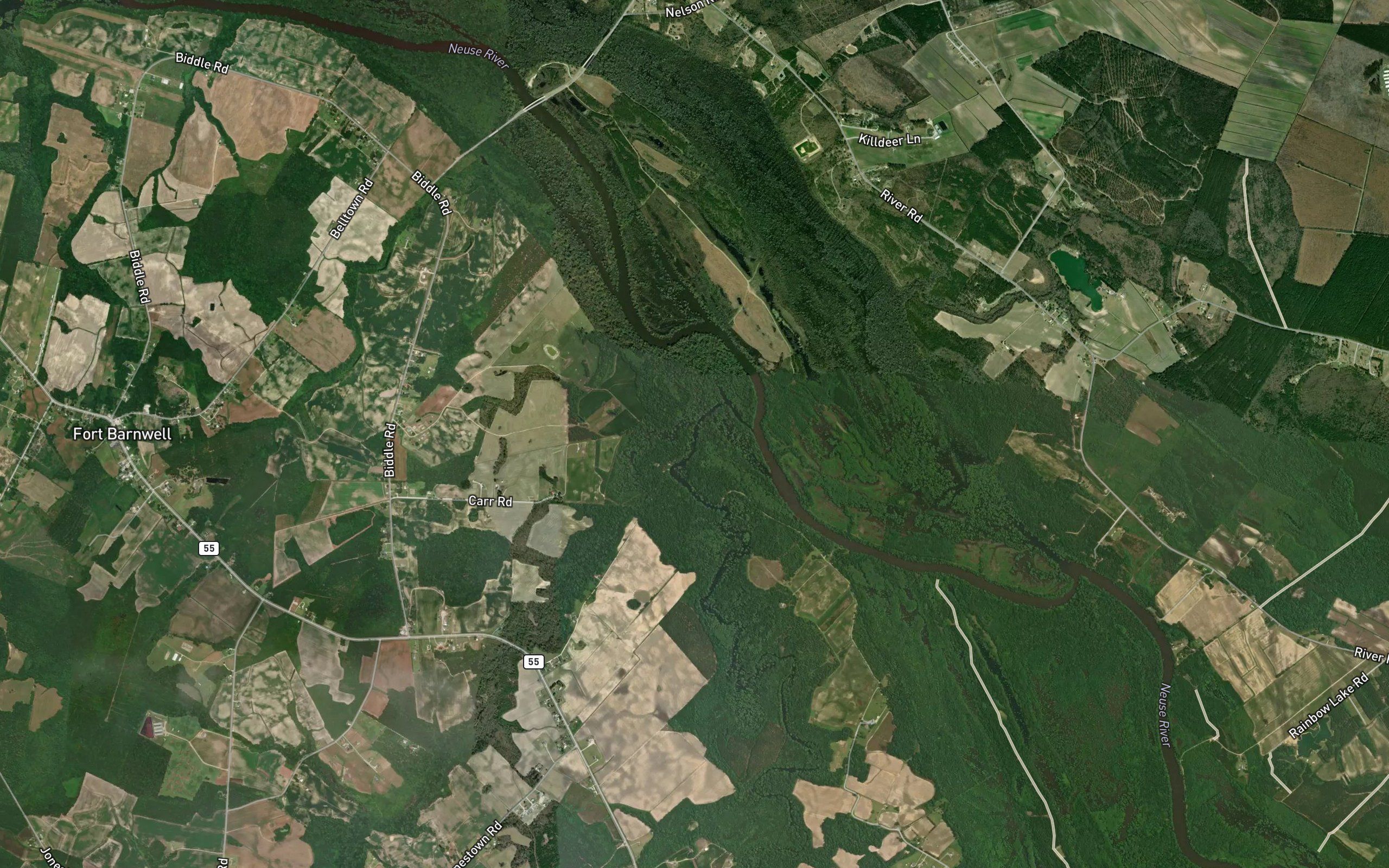 Flat Swamp