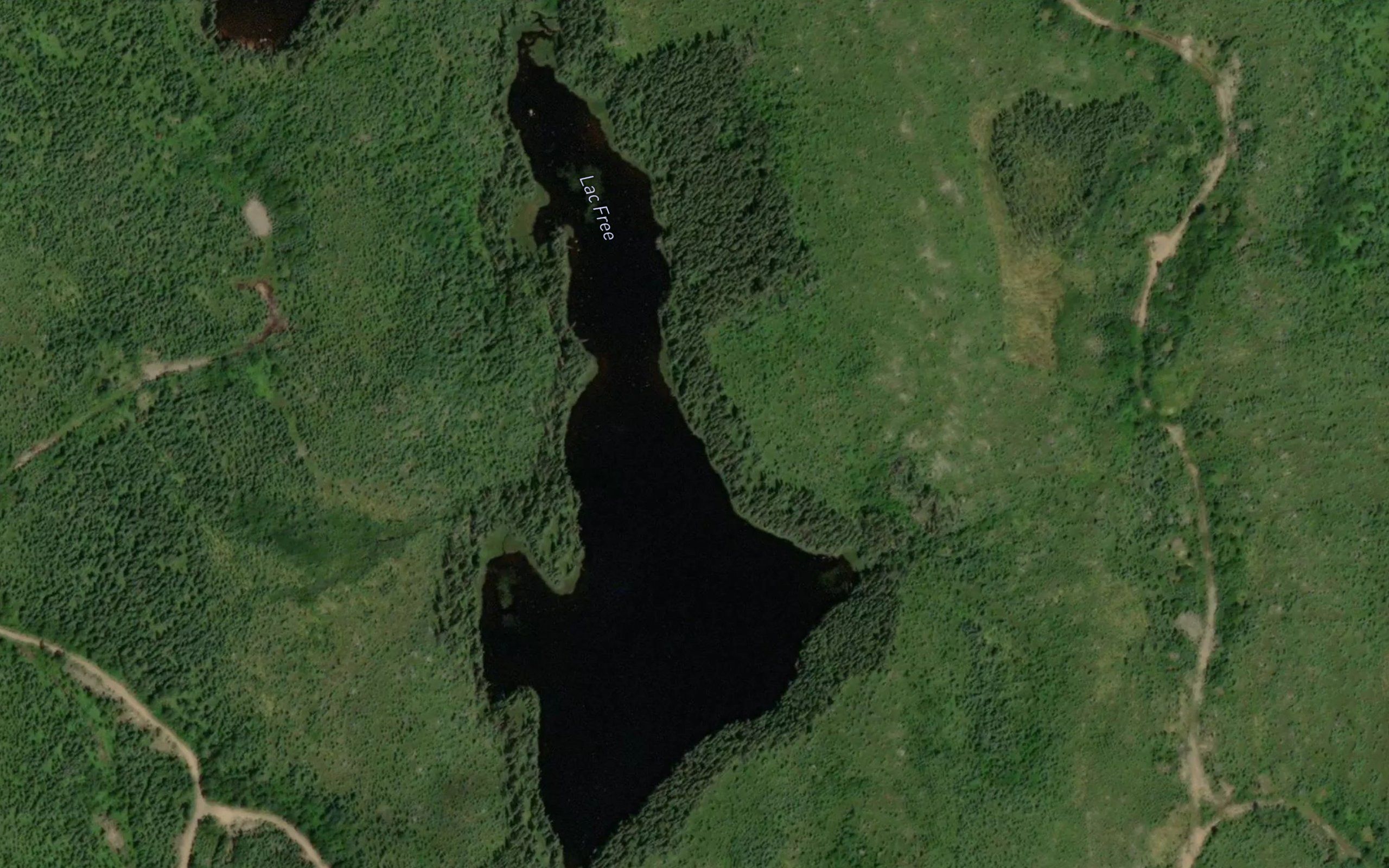 Lac Free