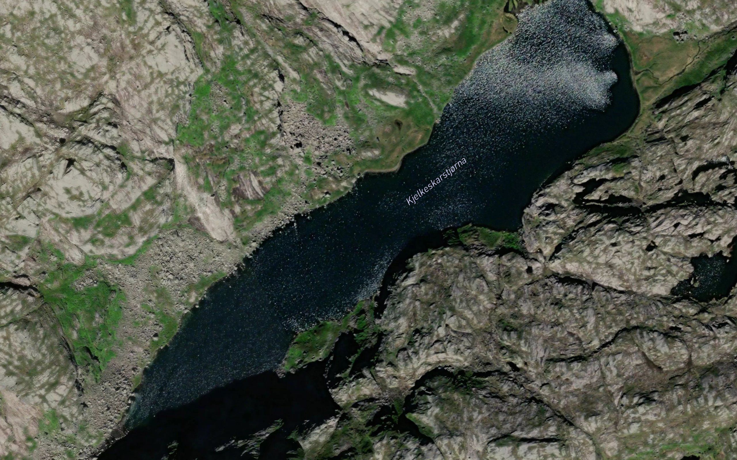 Kjelkeskardstjorna