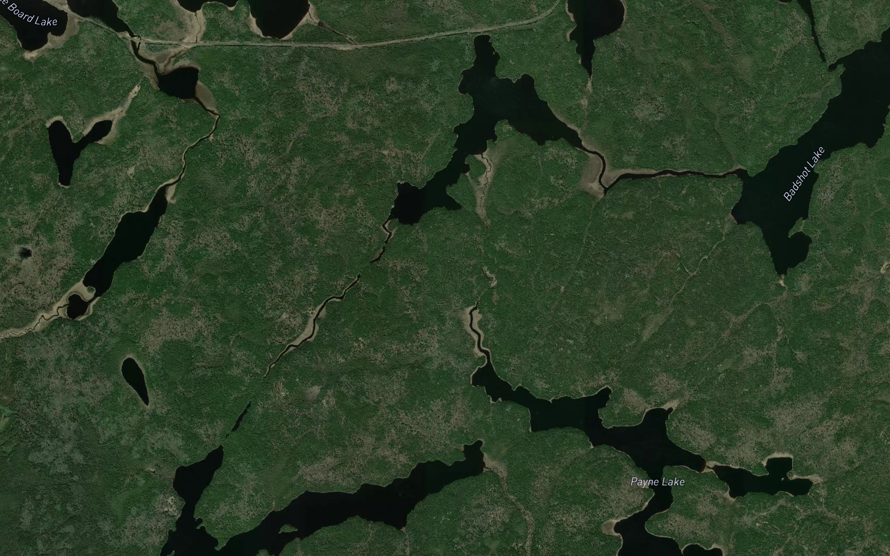 Satellite map of the Payne Creek