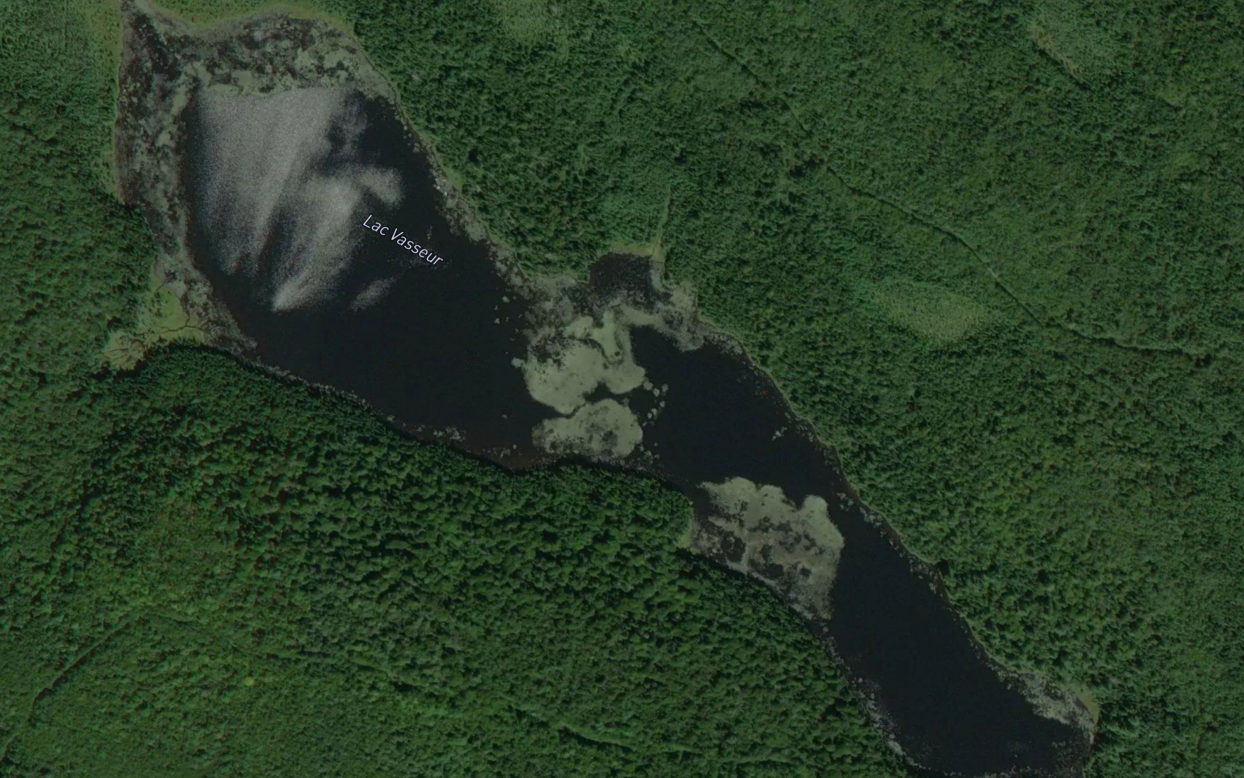 Lac Vasseur