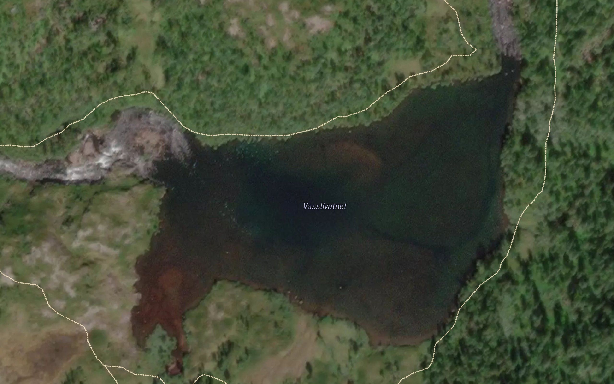 Vasslivatnet