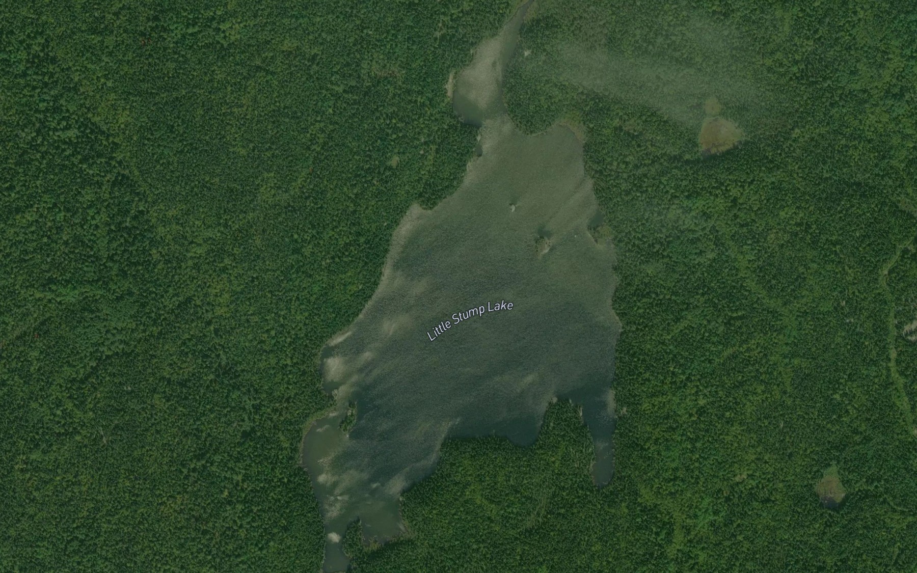 Satellite map of the Little Stump Lake