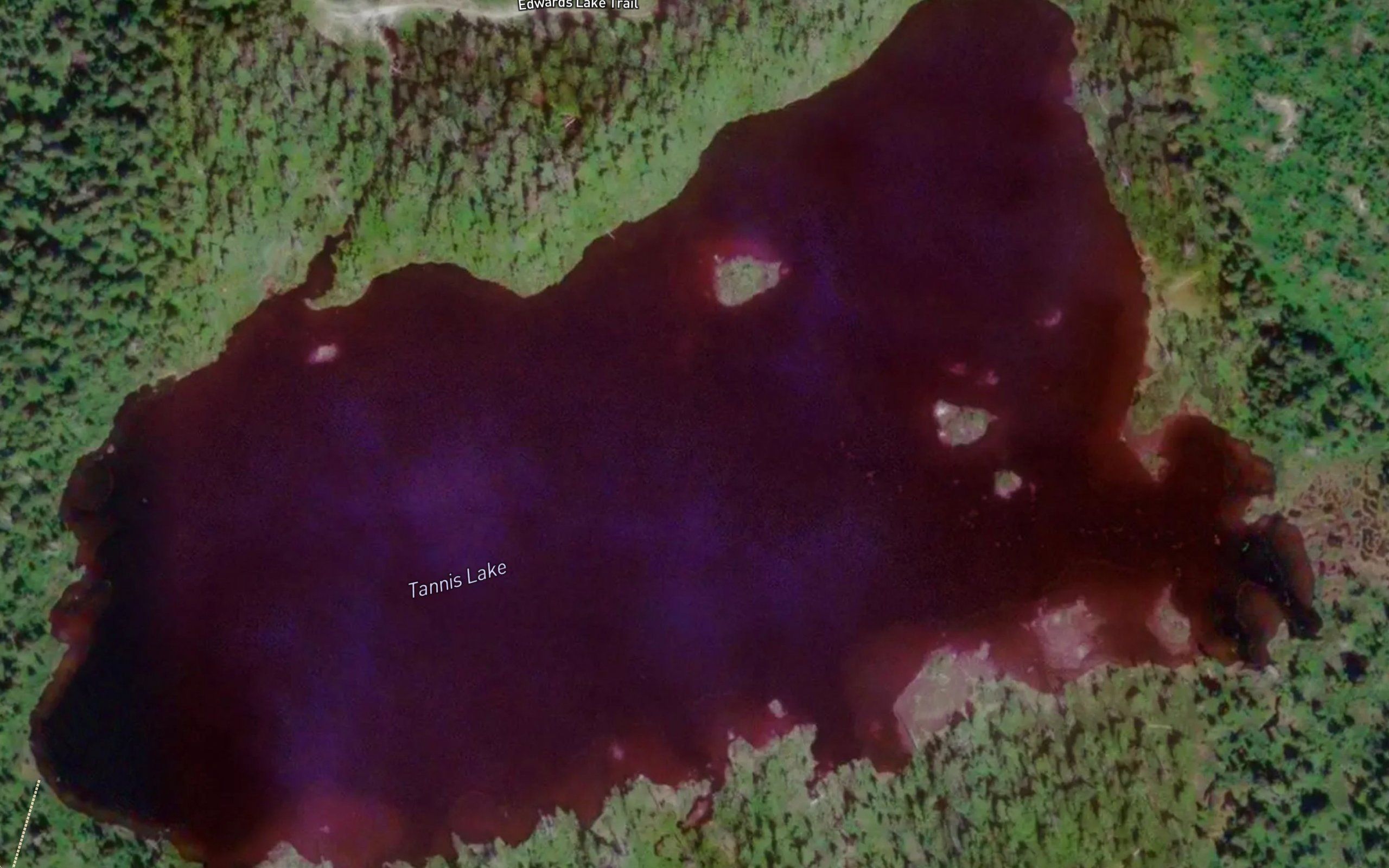 Tannis Lake