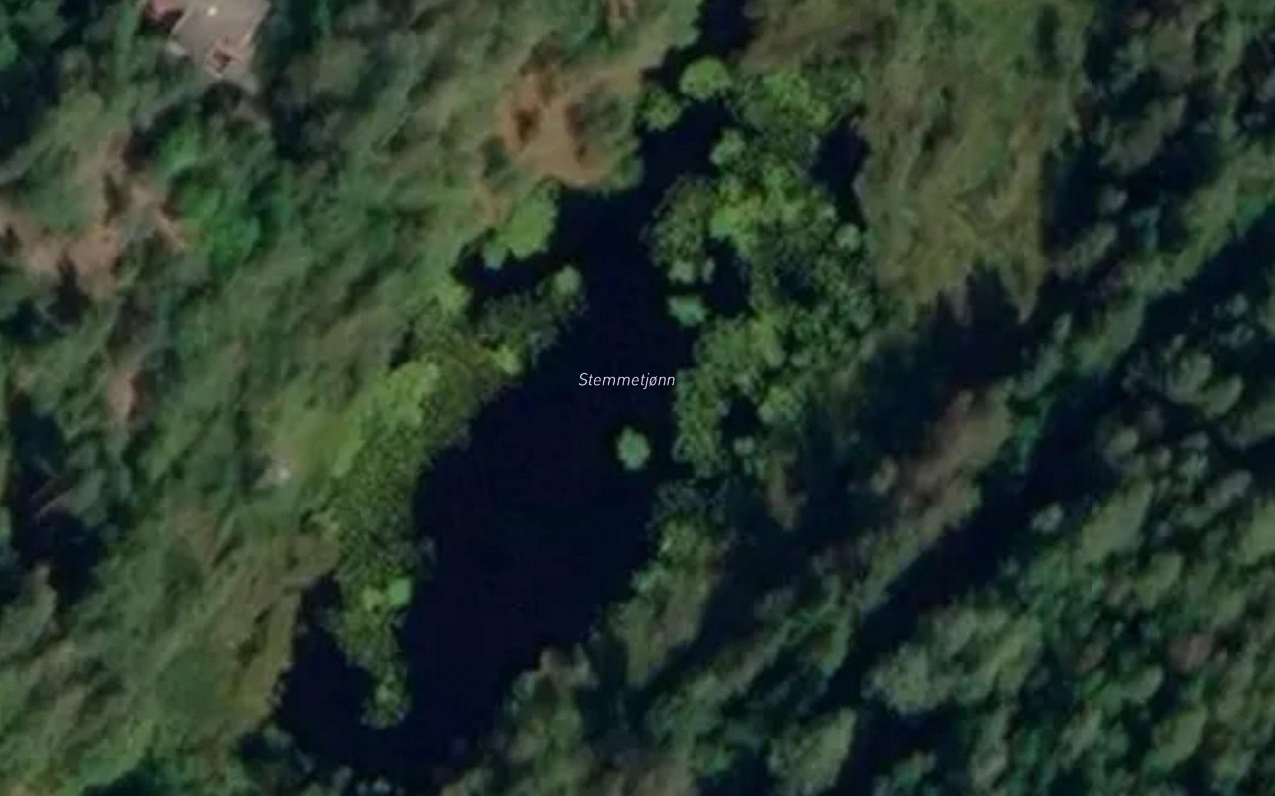 Stemmetjonn
