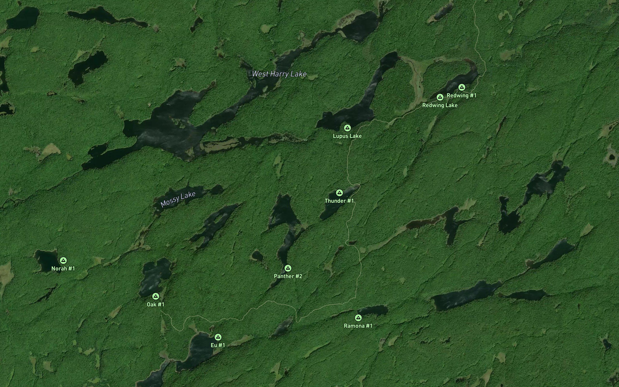 Lupus Creek