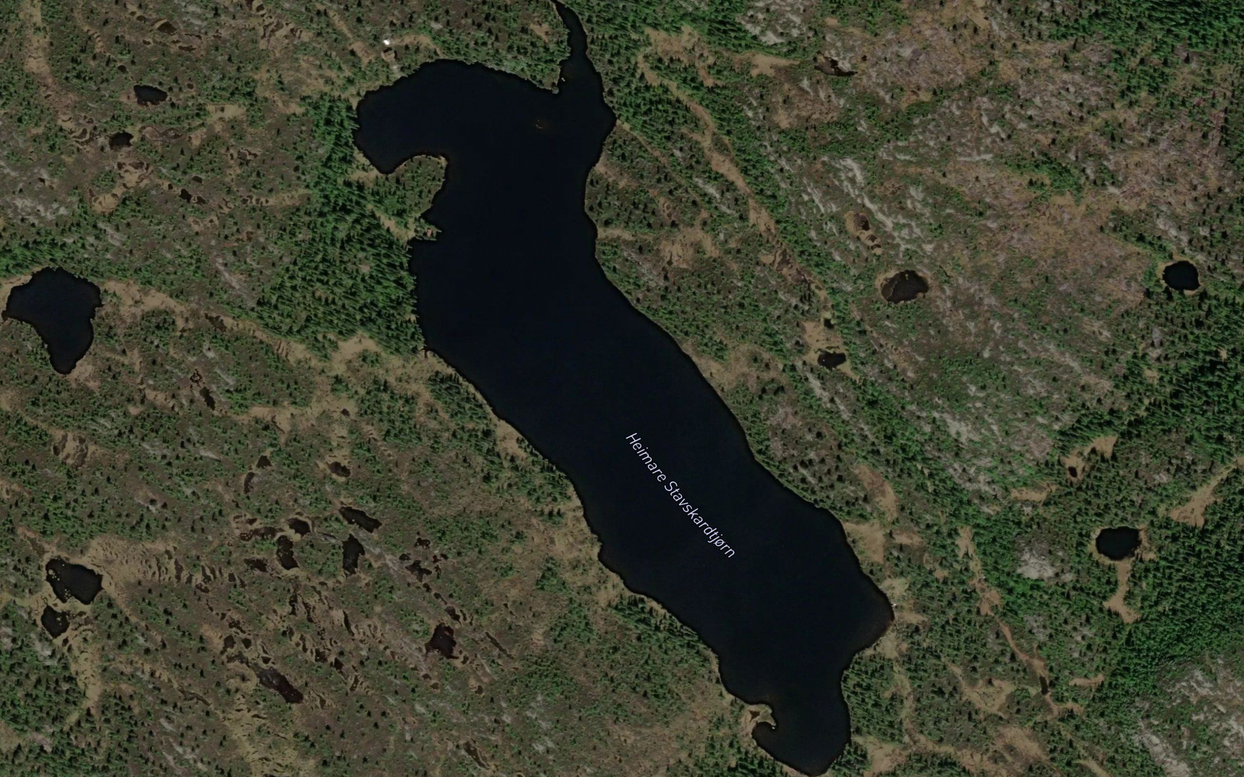 Stavskardtjonn