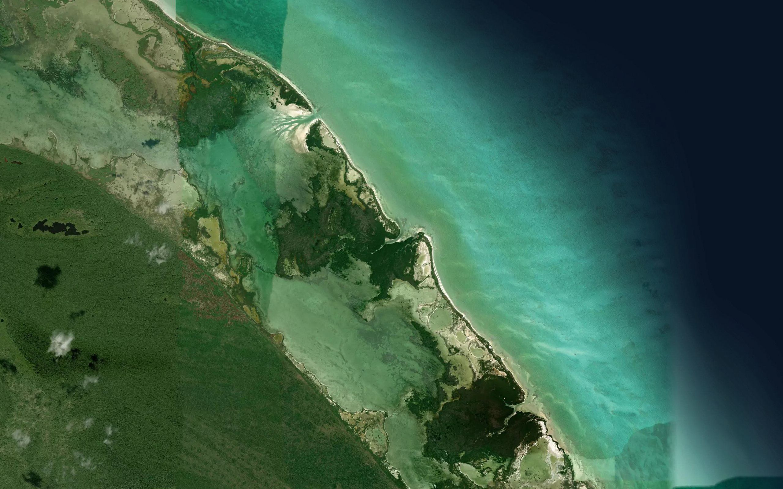 Boca Palo Bravo