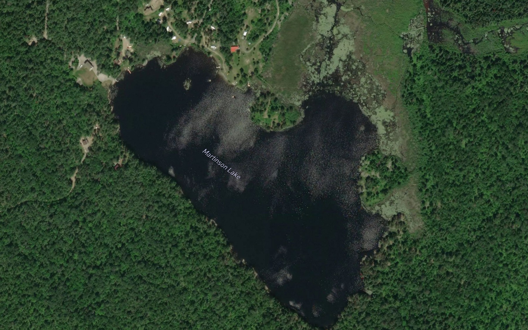 Satellite map of the Martinson Lake