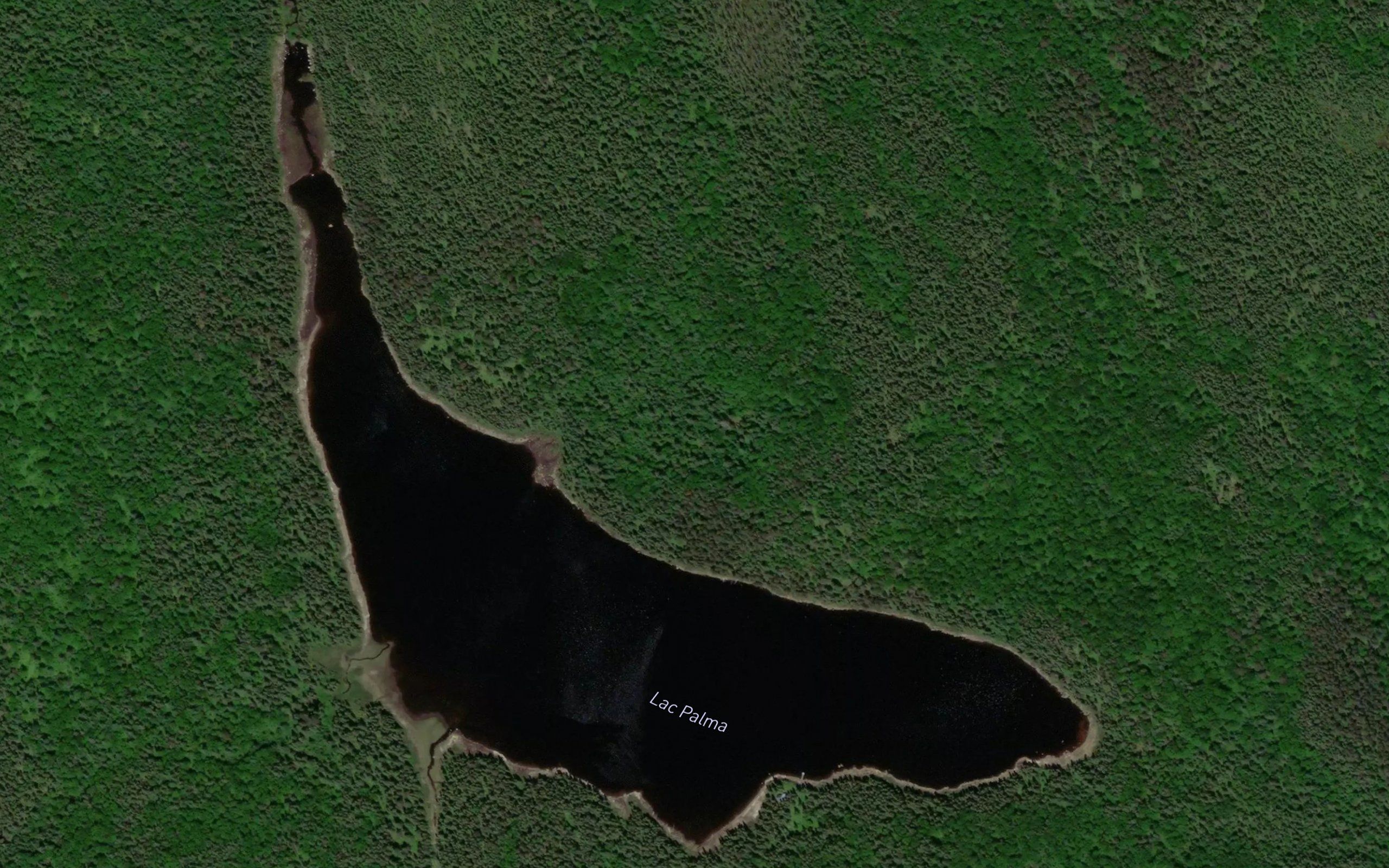 Lac Palma