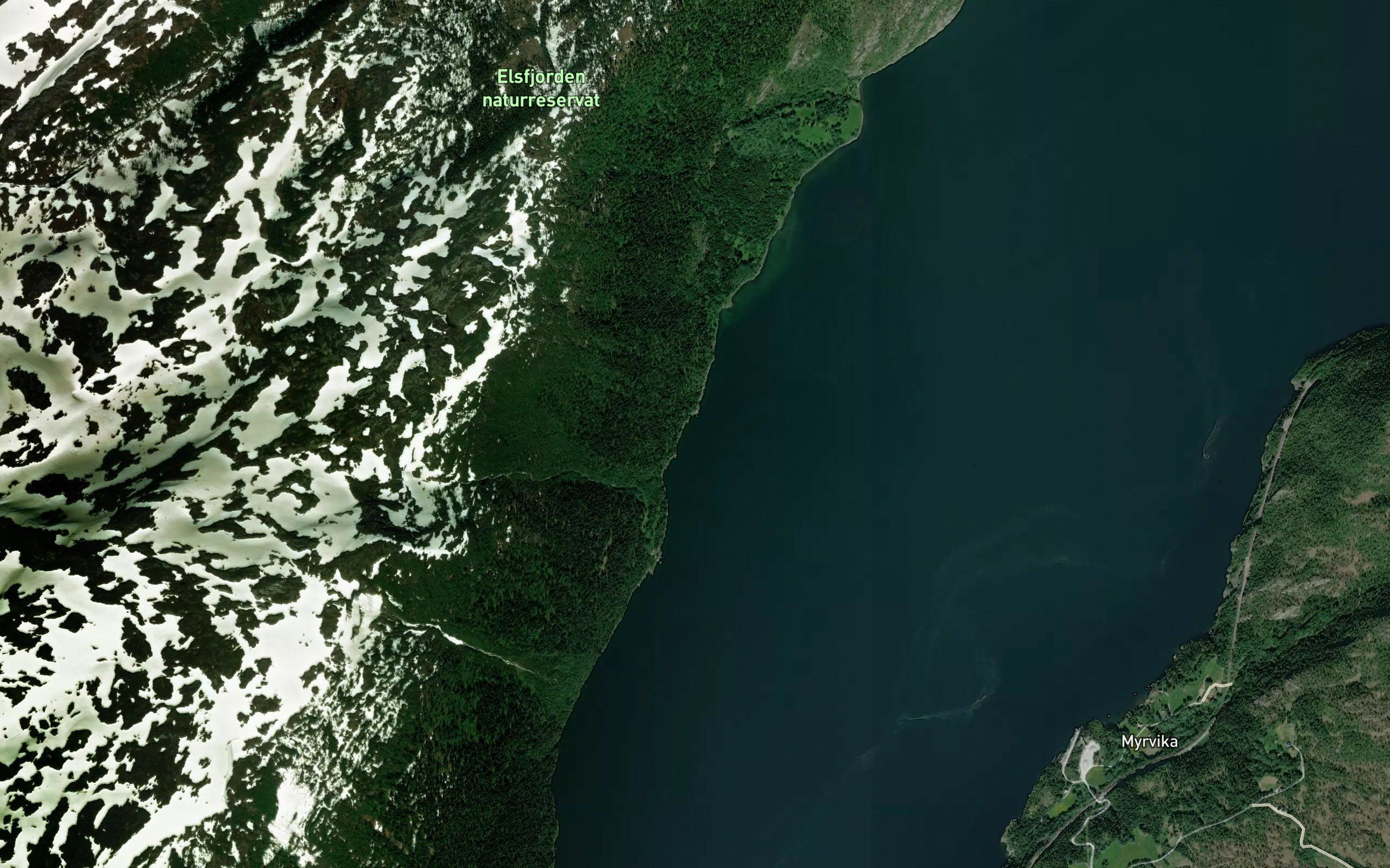 Kuvika