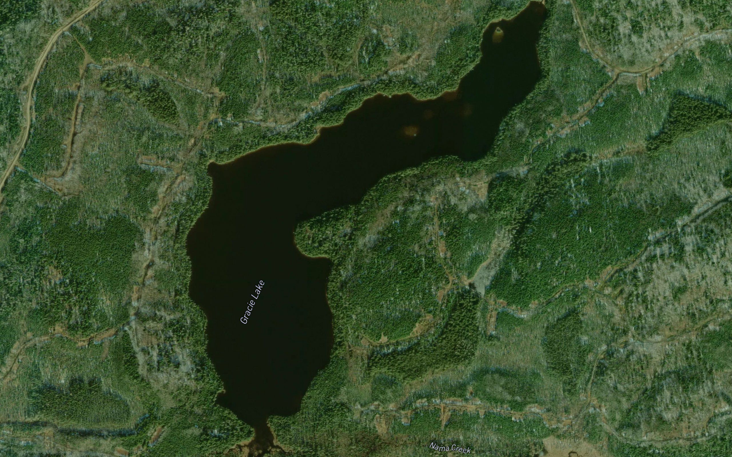 Gracie Lake