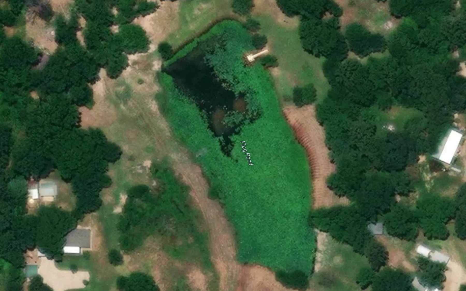 Satellite map of the Flag Pond