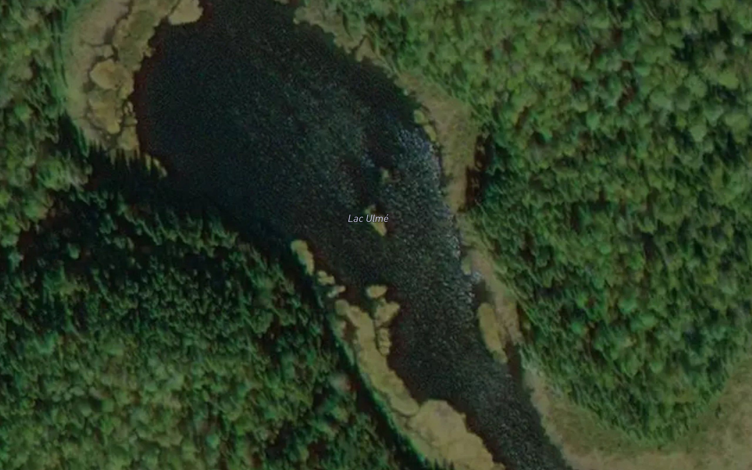 Lac Ulme