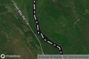 Rolf Rollingtier Brook