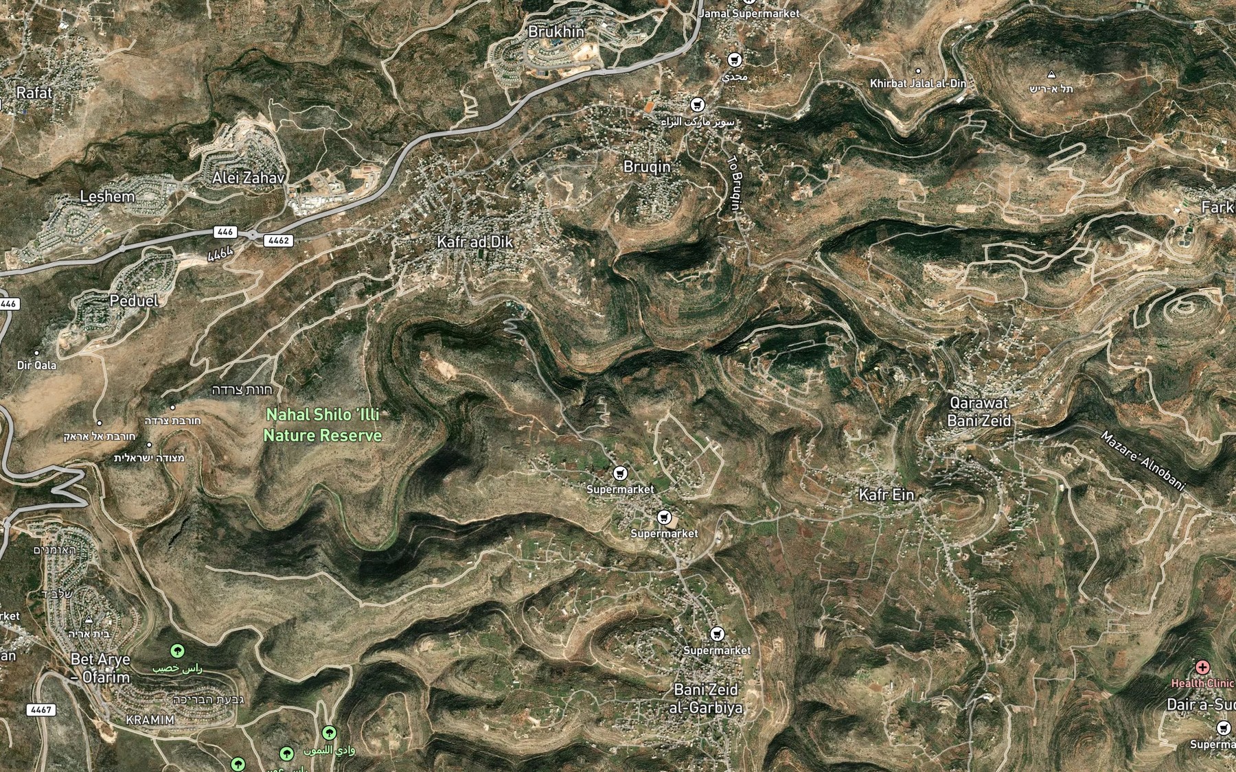 Satellite map of the 'Ayn Shuja'