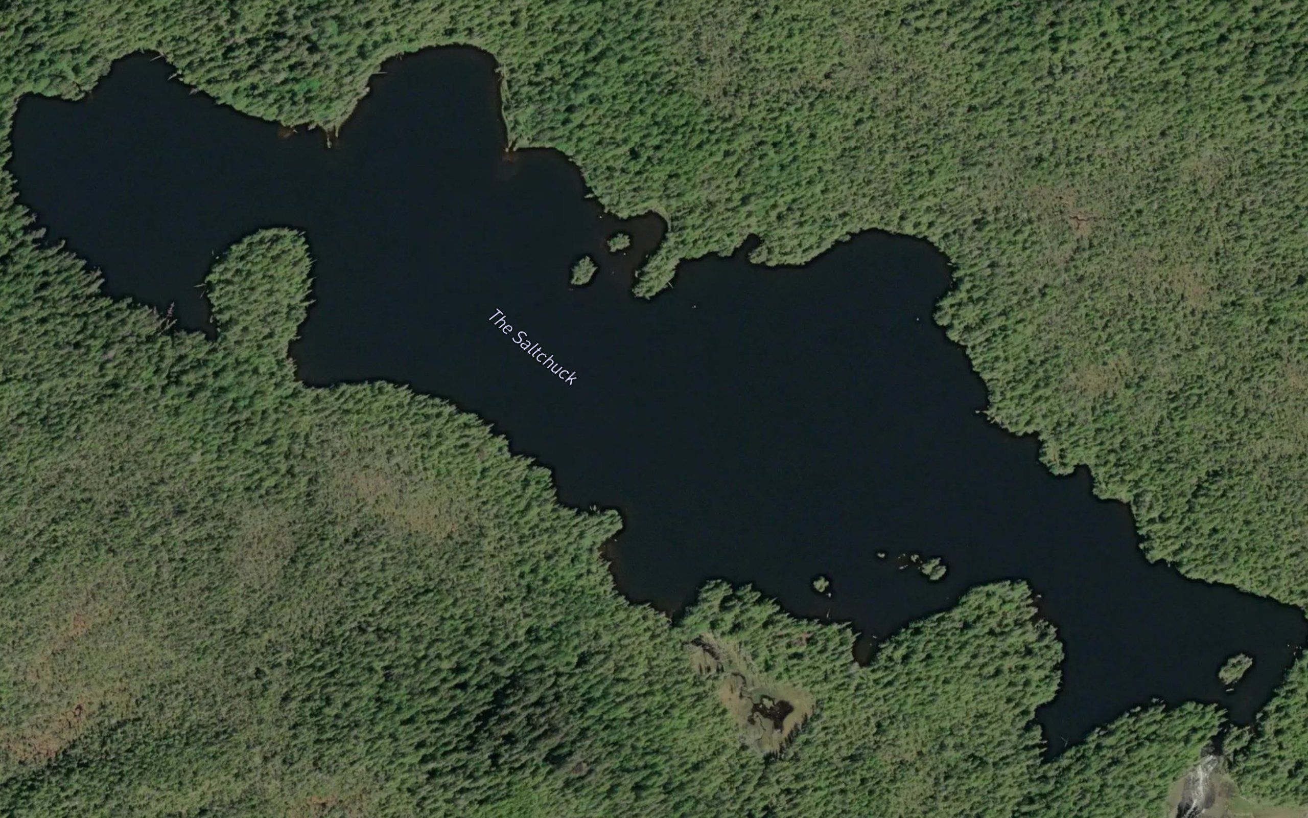 The Saitchuck
