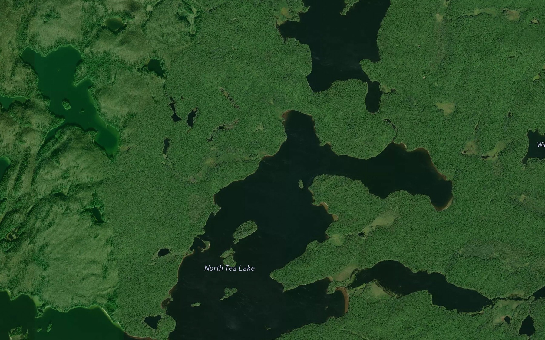 Satellite map of the Lorne Creek