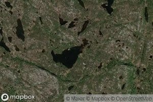 Storkvaevtjornane