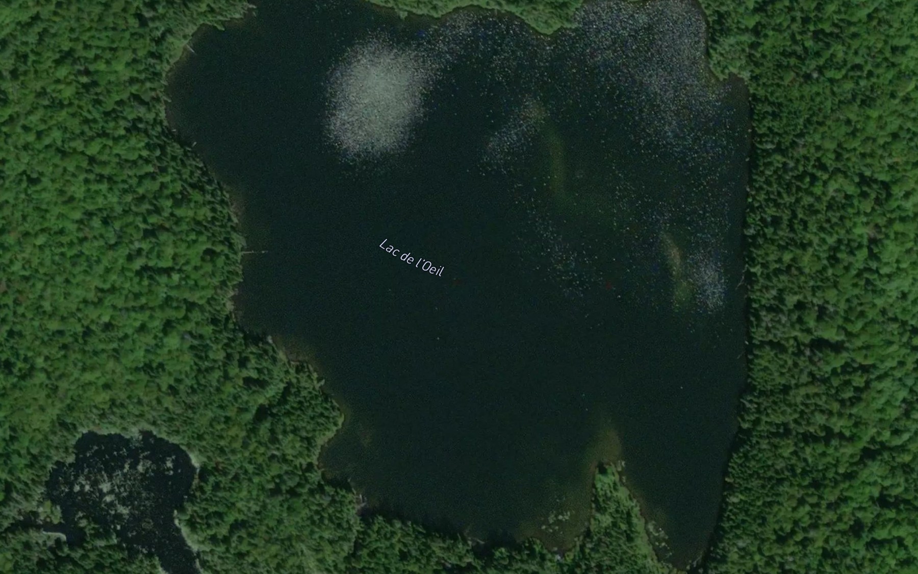 Satellite map of the Lac de l'Oeil