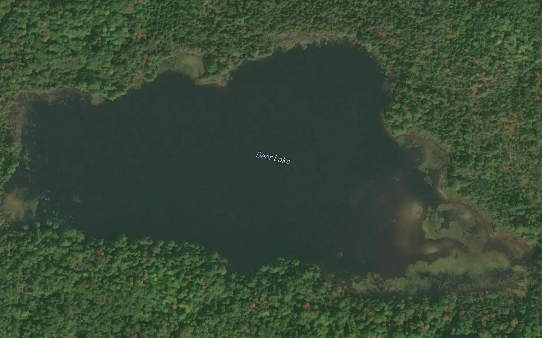 Satellite map of the Deer Lake