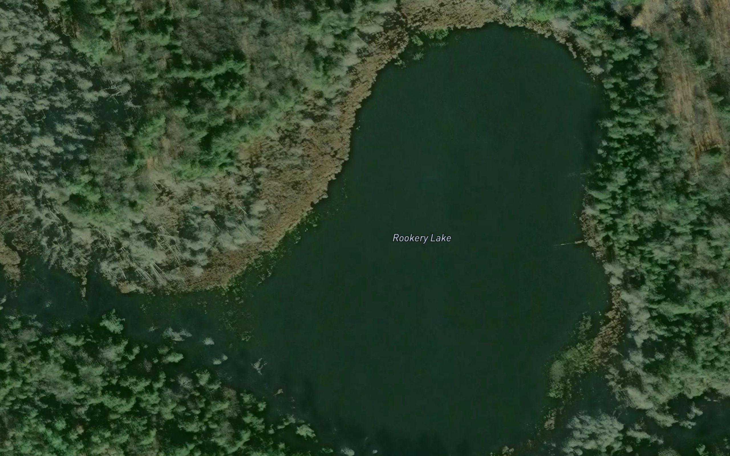 Rookery Lake