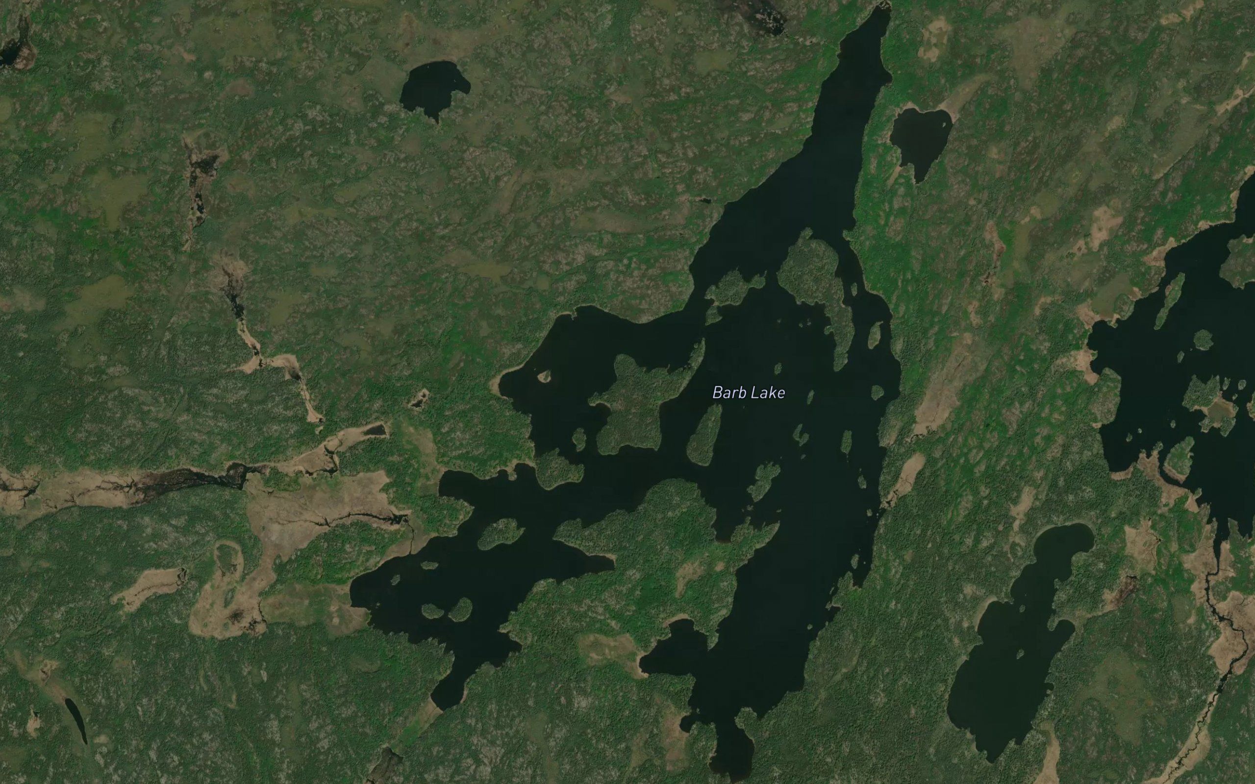 Barb Lake
