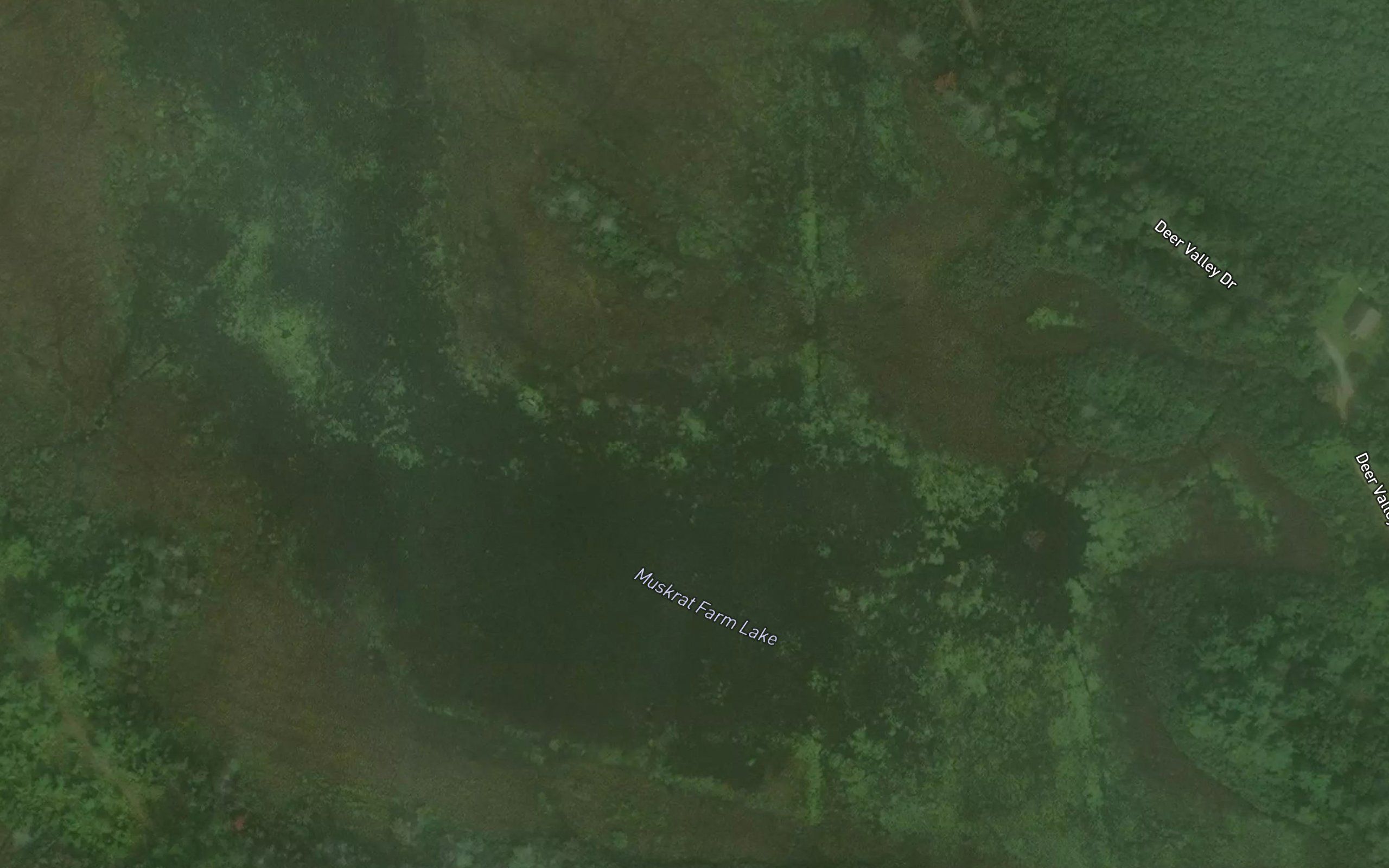 Muskrat Farm Lake