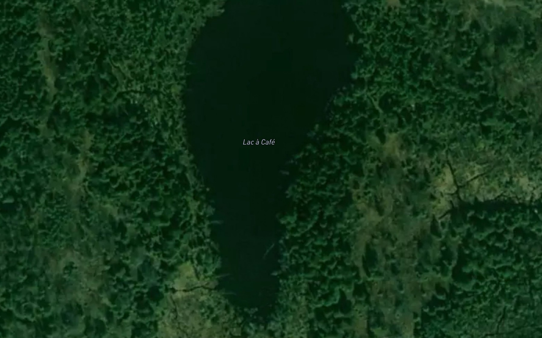 Satellite map of the Lac a Cafe