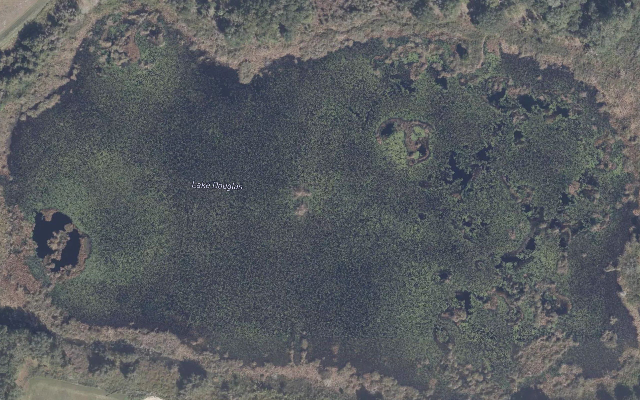 Lake Douglas