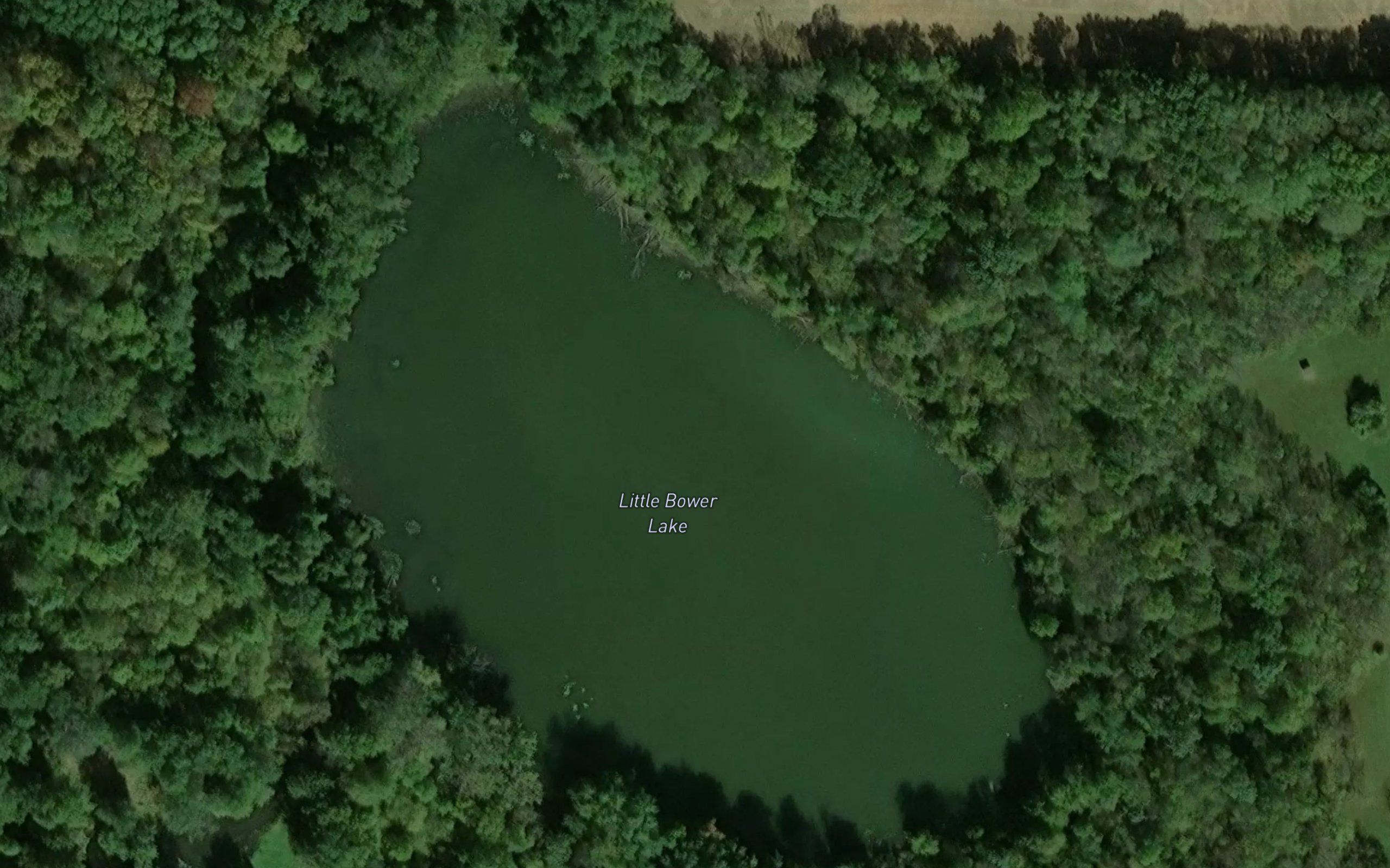 Little Bower Lake