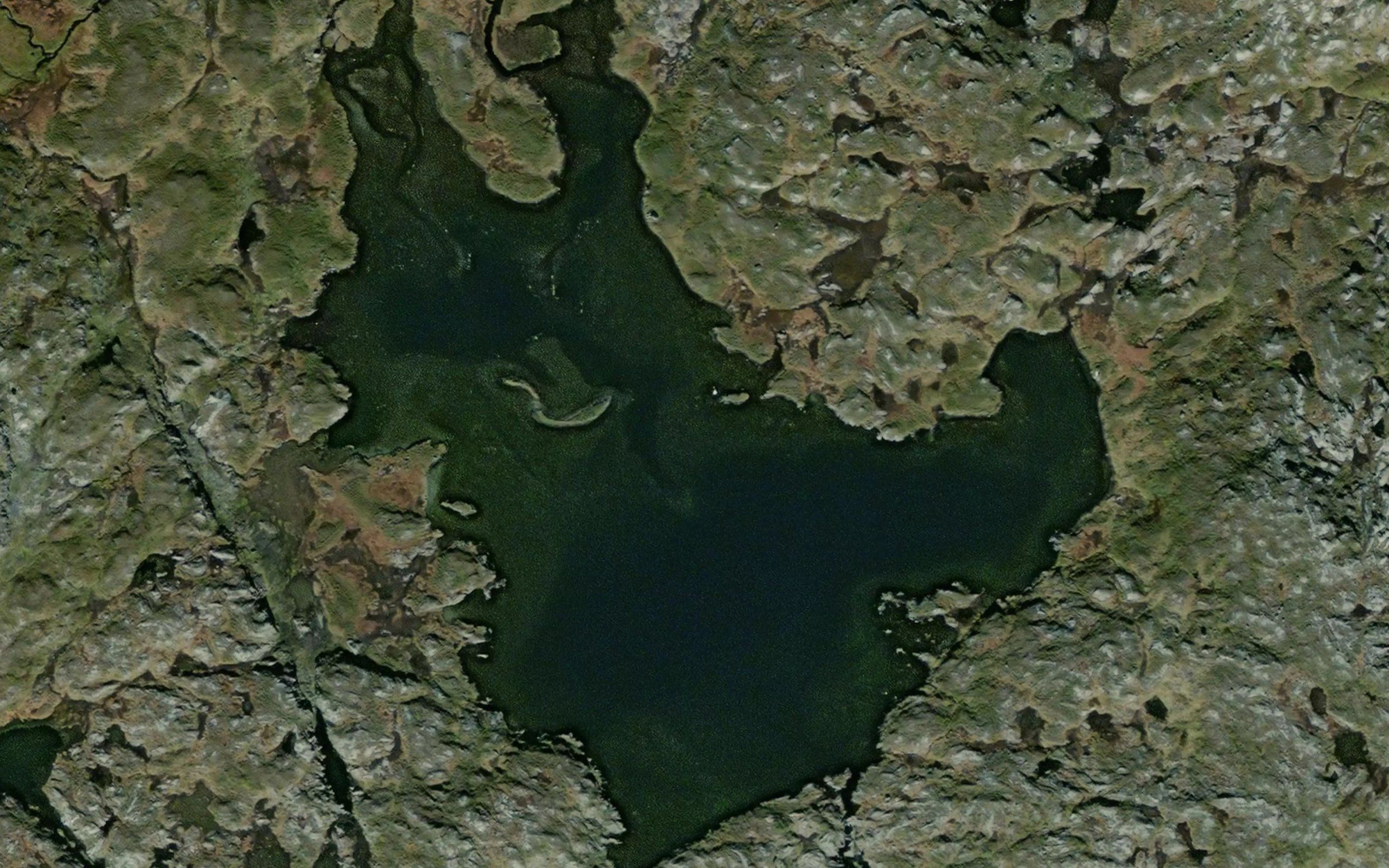 Arranjaevrie