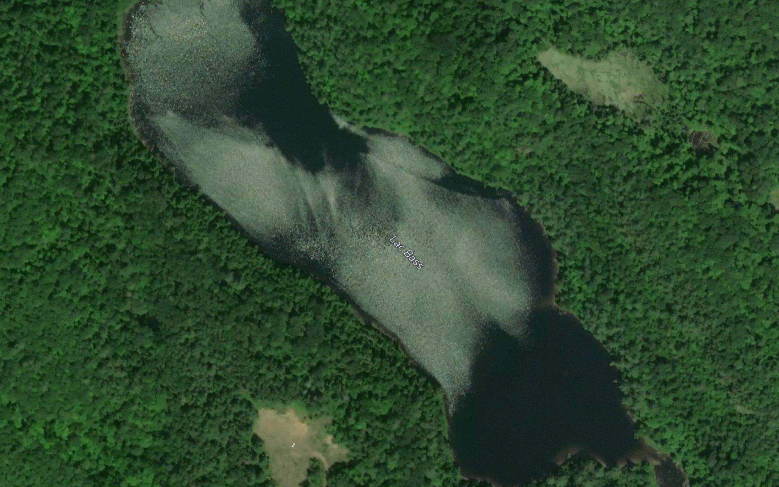 Lac Bass