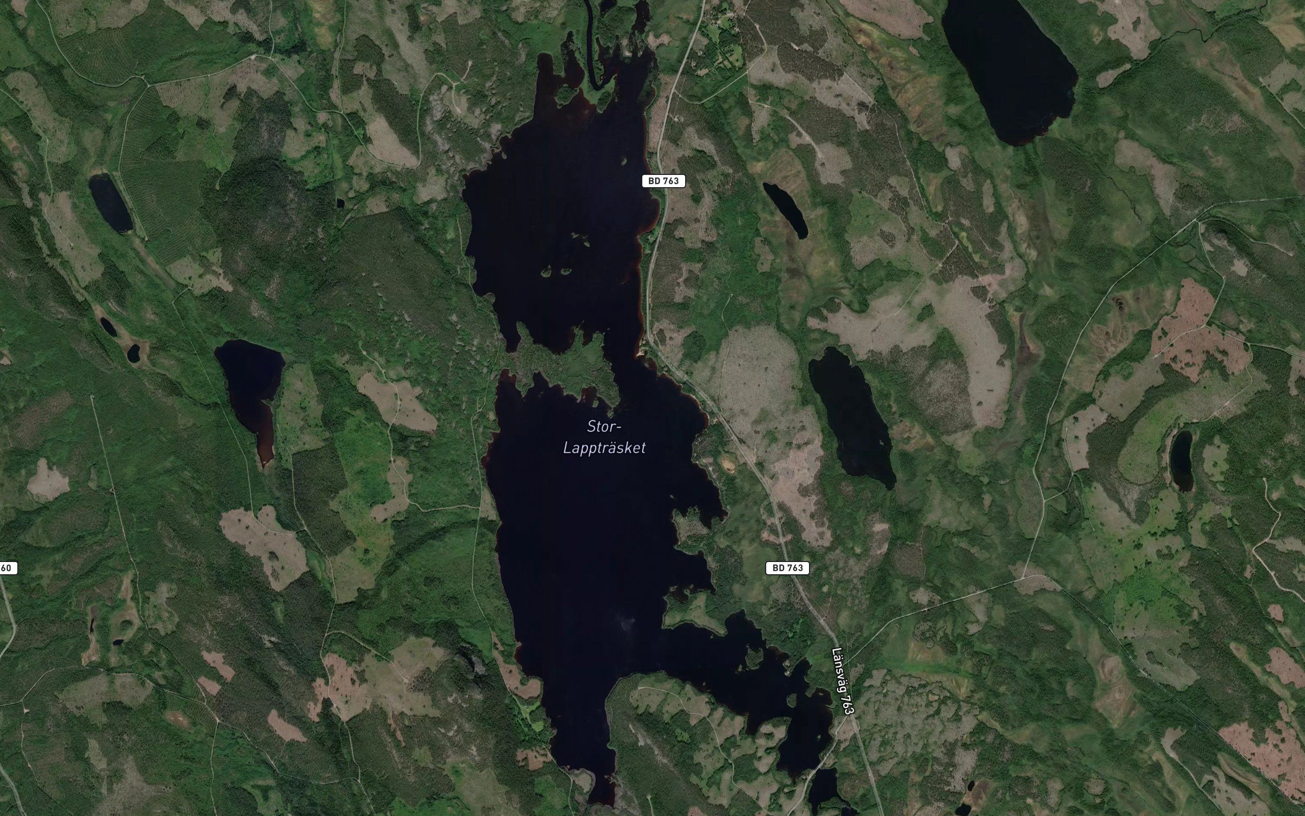 Stor-Lapptraesket