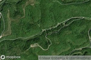 Flora Holliday Branch