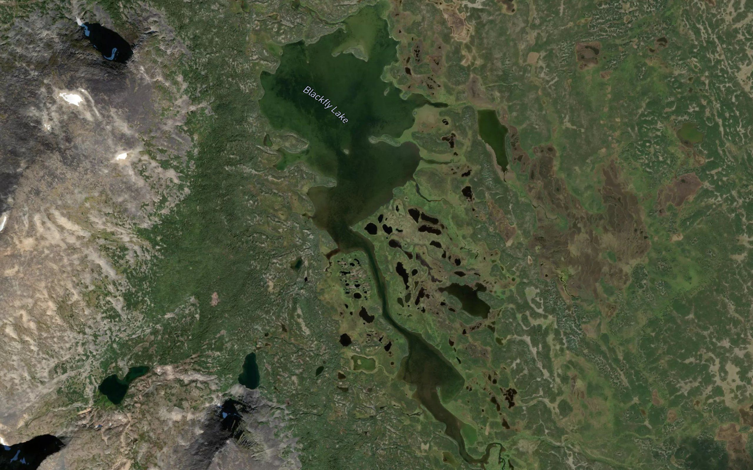 Blackfly Lake