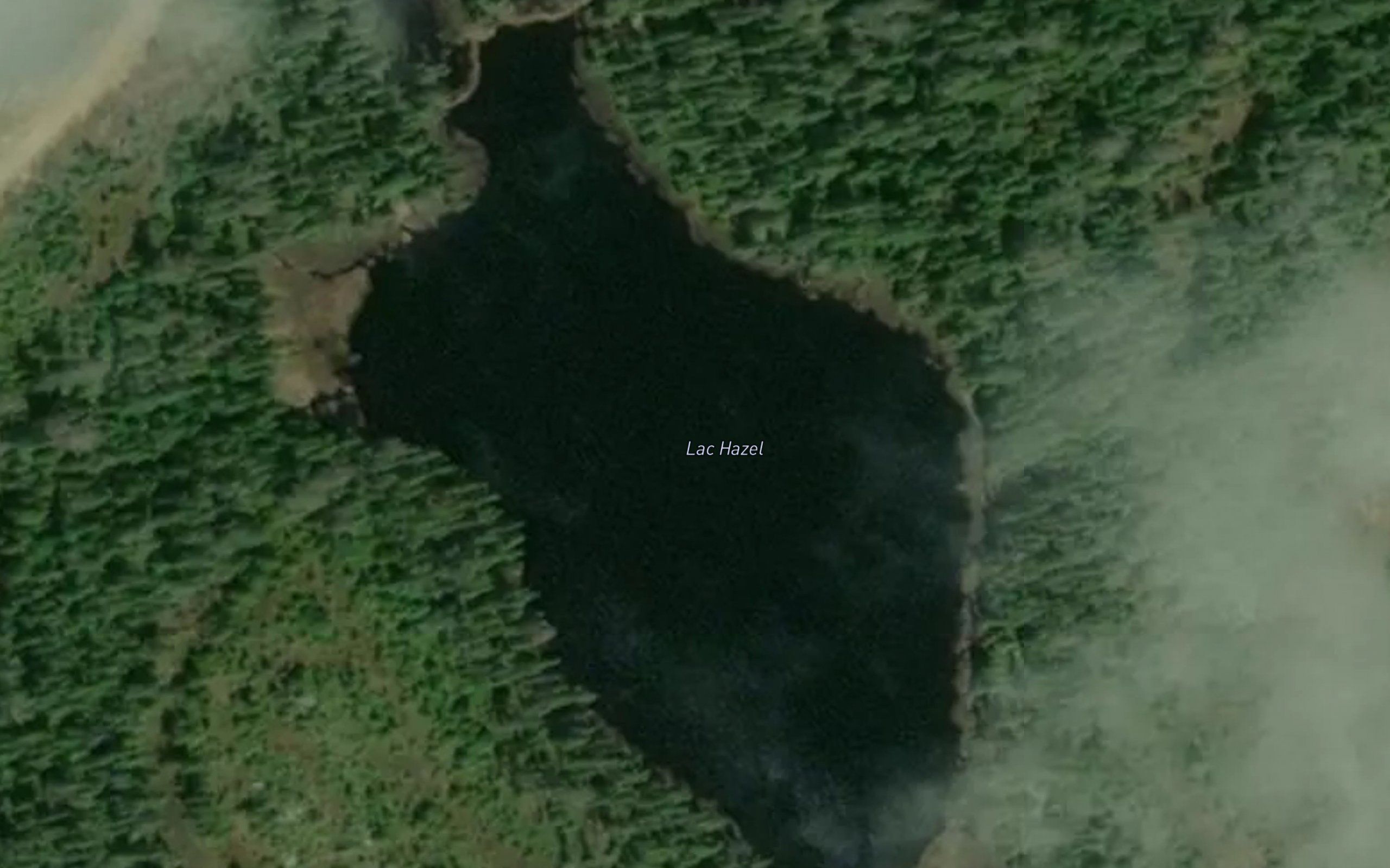 Lac Hazel