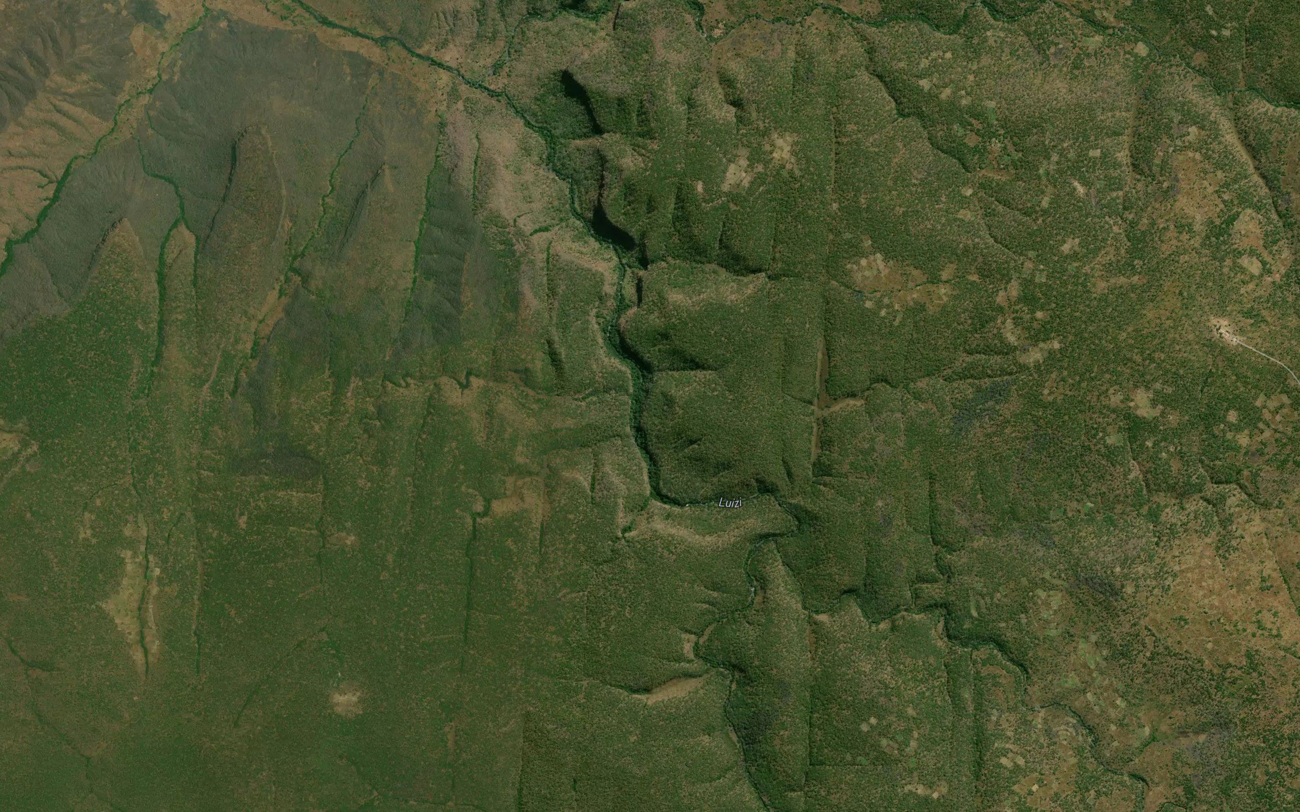 Kankindi