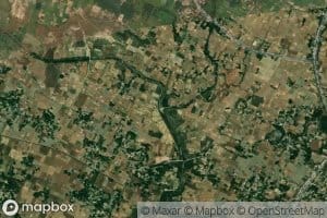 Umri Drain